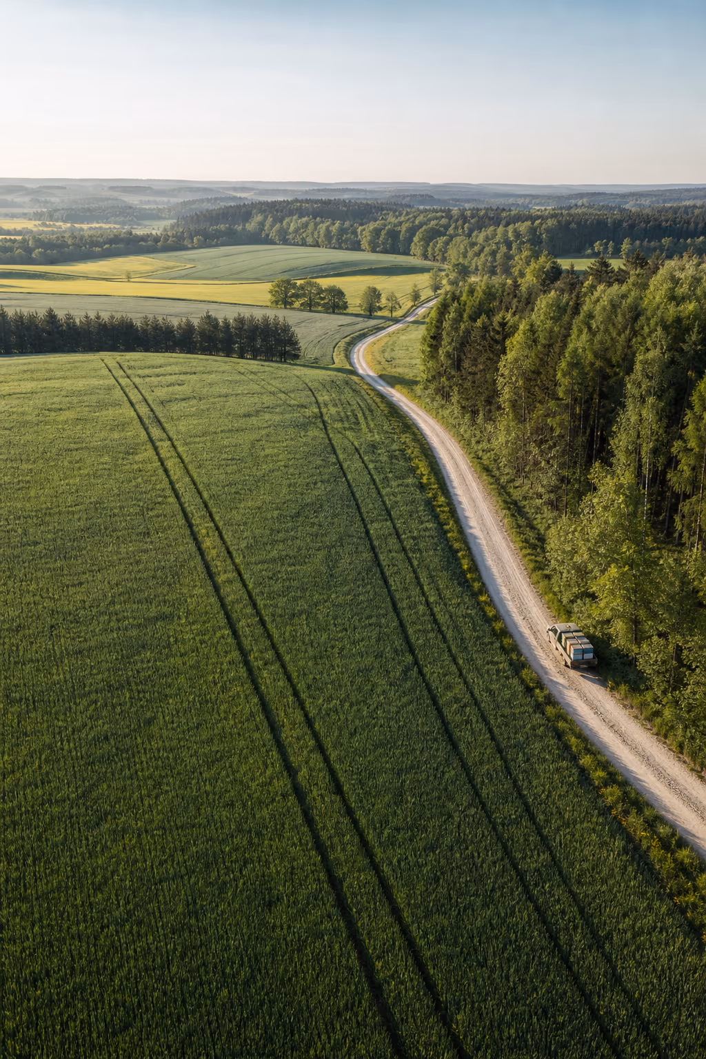 Droga przez pola i lasy przed wędrówką z ulami